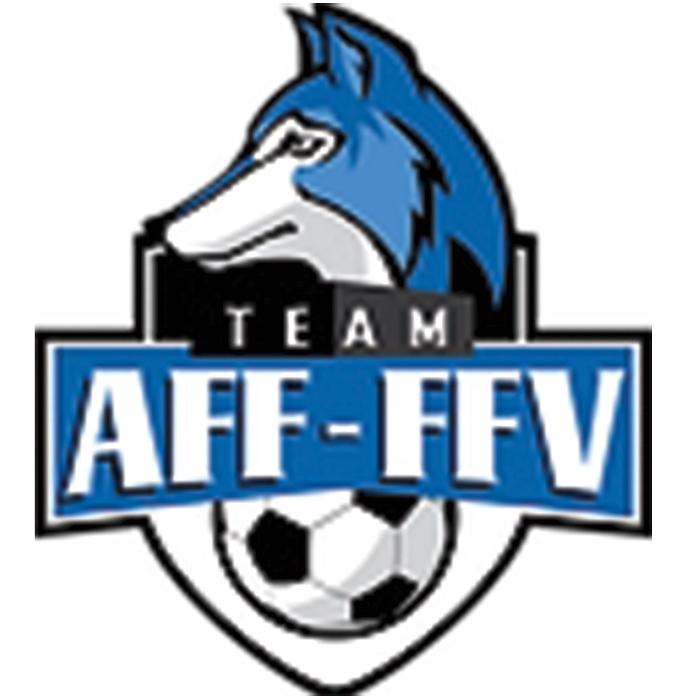 Team aff ffv association fribourgeoise de football 